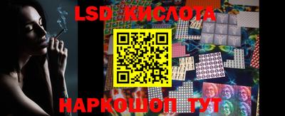 стафф Краснознаменск