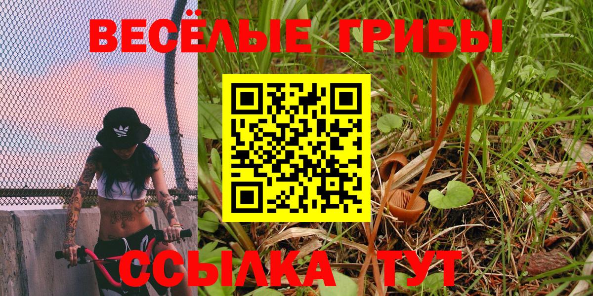 Галлюциногенные грибы мухоморы Уссурийск