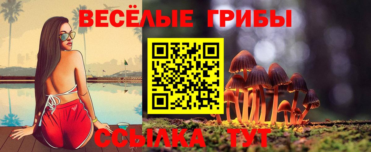 Псилоцибиновые грибы Cubensis  Вход с VPN  Уссурийск 